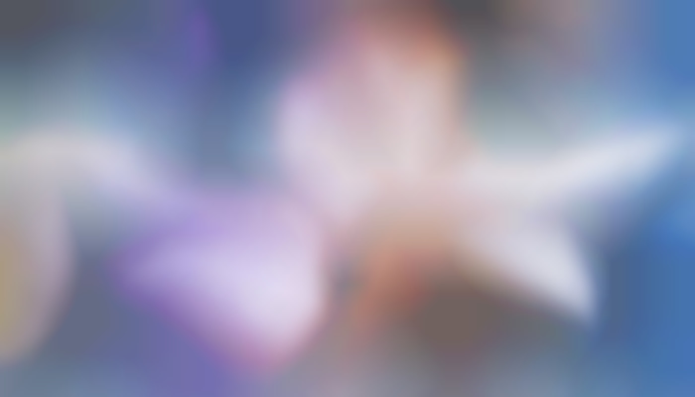 4 tips for choosing the best amateur camgirl for a sexcam session